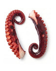 Tentacule de Caracatiță — hero