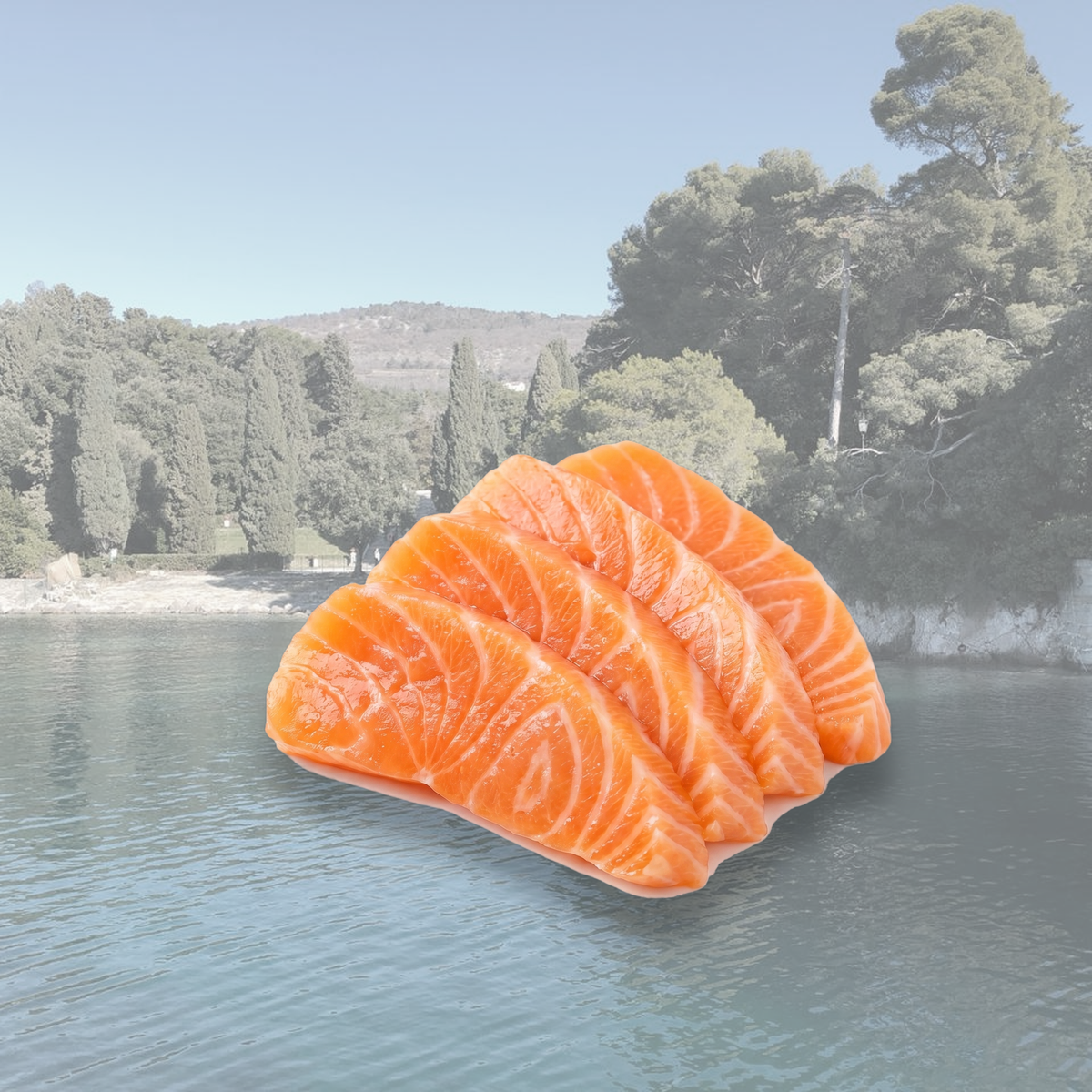 Topping somon pentru sushi – colecția Toppinguri Sushi SeriosFood