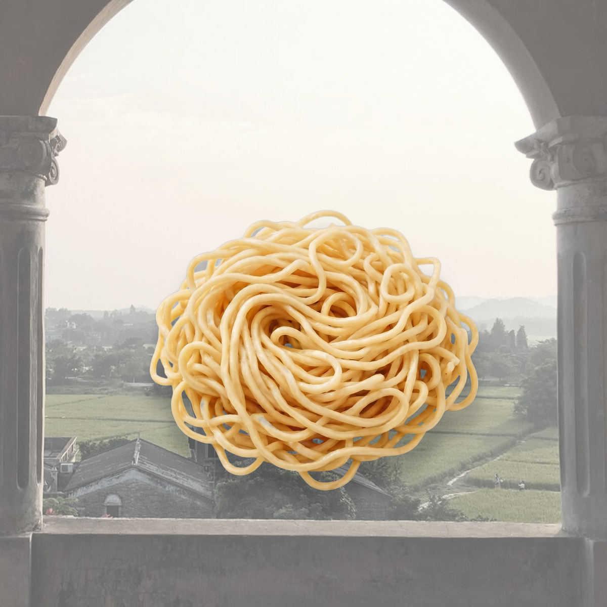 Tăiței udon și ramen – colecția Tăiței și Paste SeriosFood