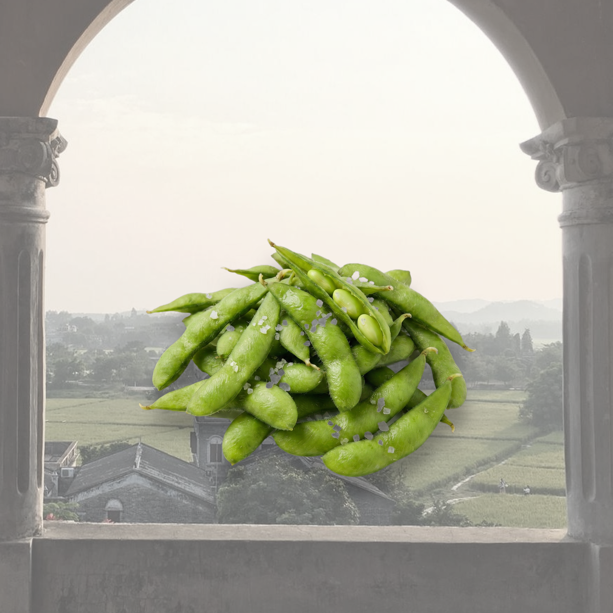 Salate asiatice wakame și edamame – colecția Salate SeriosFood