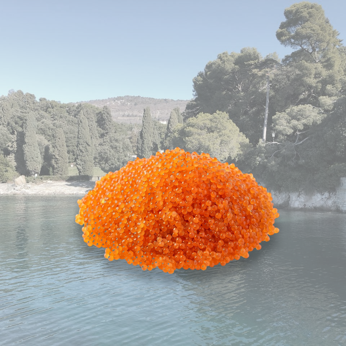 Icre masago și tobiko pentru sushi – colecția Icre și Caviar SeriosFood