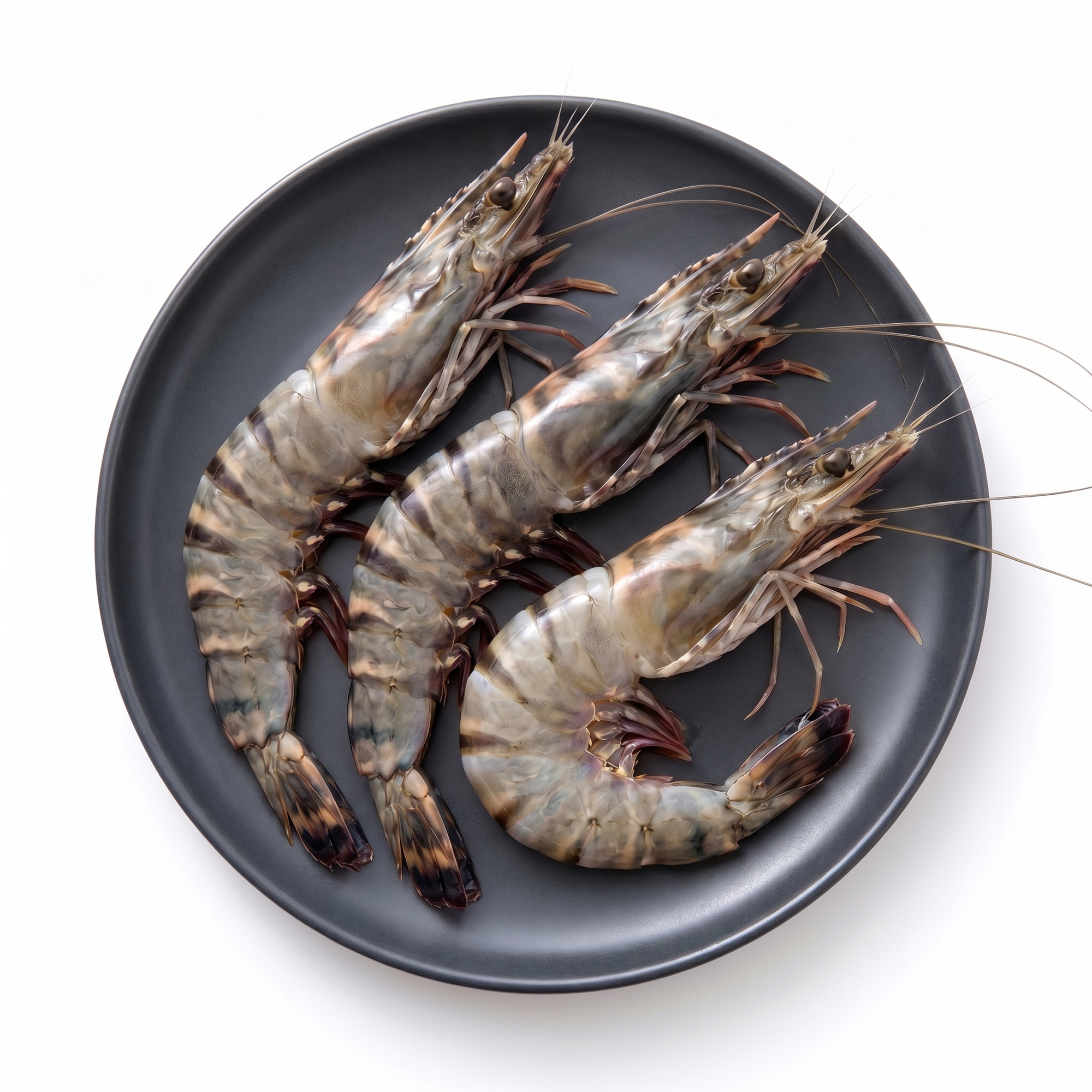 Creveti Black Tiger 2/4 colosali, intregi head-on, portie 800g pe farfurie