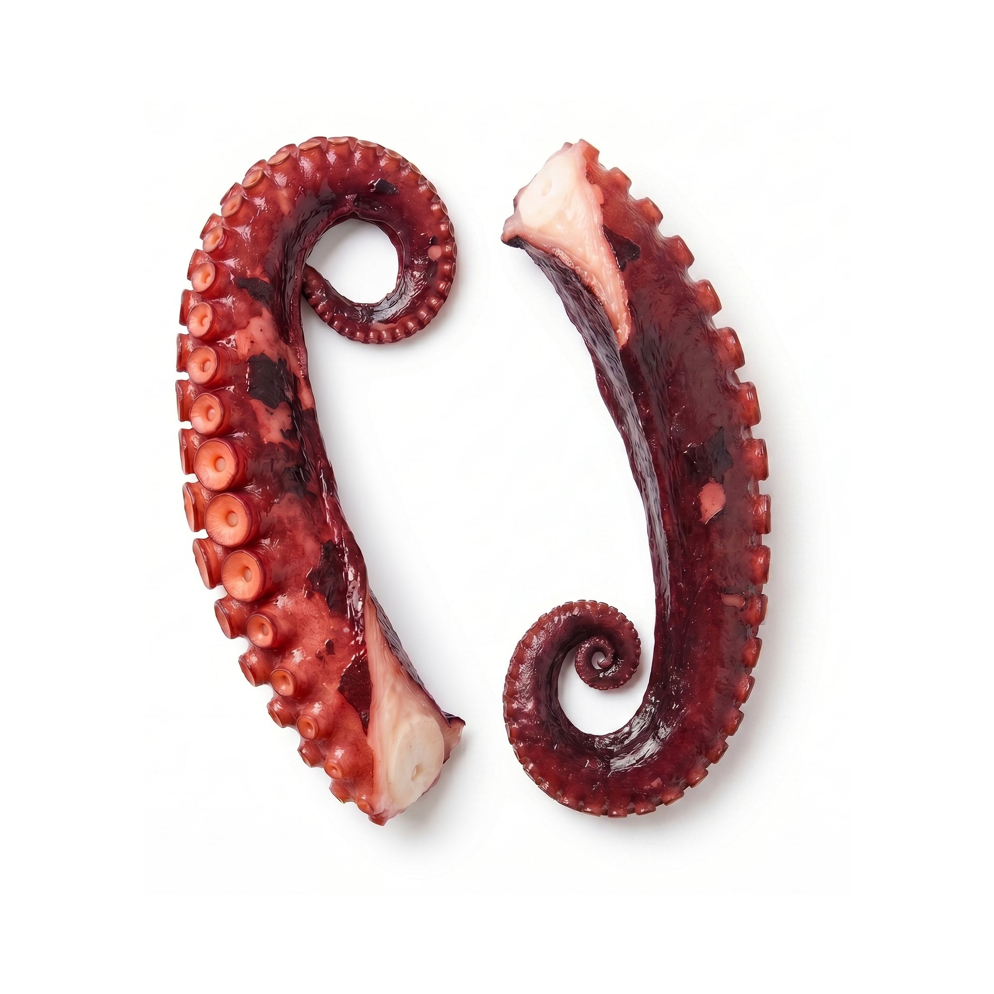 Tentacule de Caracatiță — hero