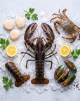Crustacee și scoici crude pe gheață, selecție premium SeriosFood