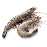 Black Tiger Shrimp 2/4