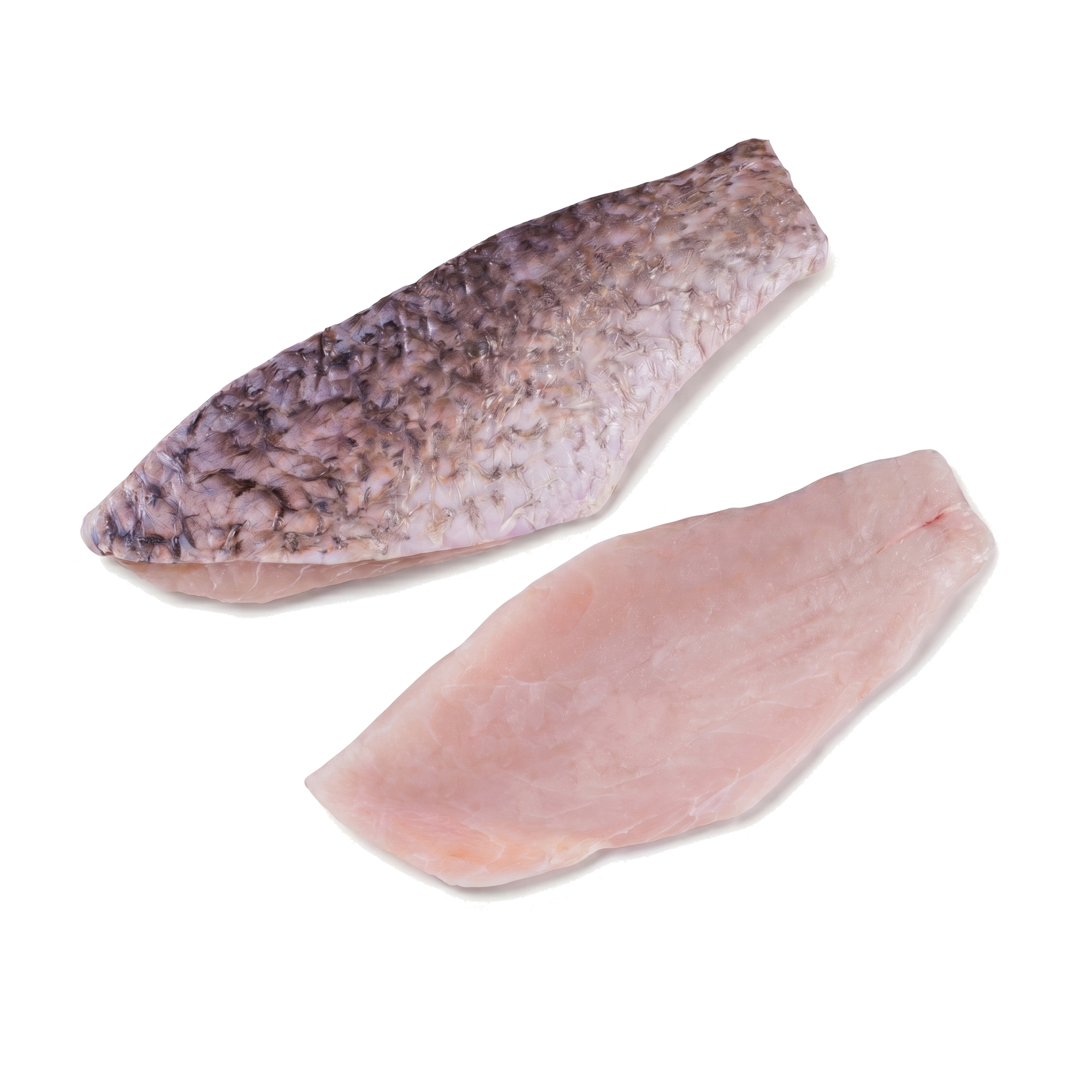 File de Barramundi crud, piele mottled și carne roz-pal