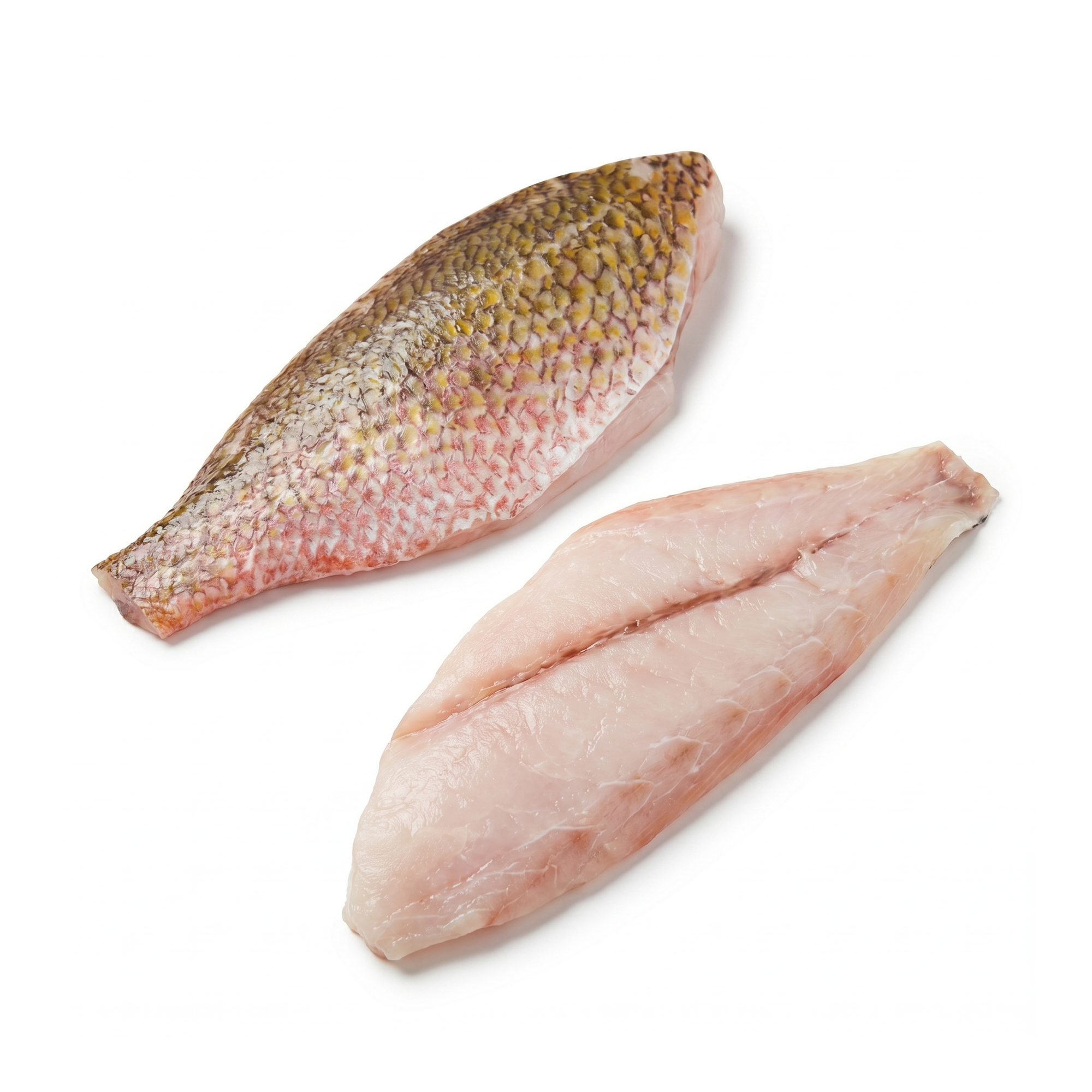 File de red snapper skin-on | SeriosFood